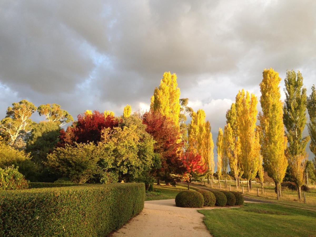 Glen Waverly Farmstay غلين اينيس المظهر الخارجي الصورة