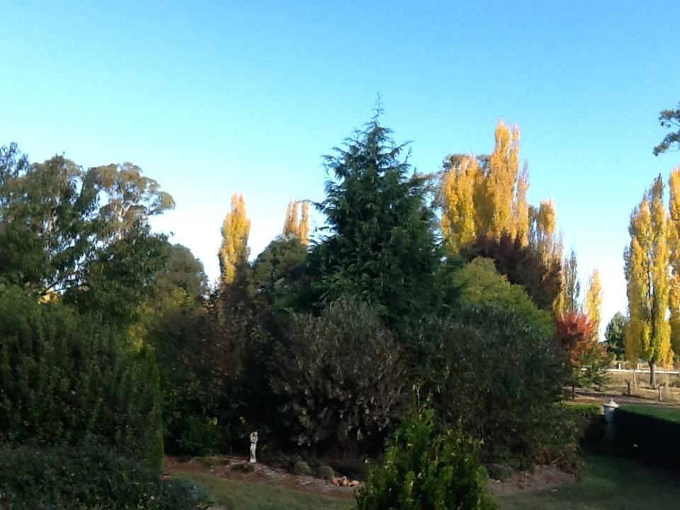 Glen Waverly Farmstay غلين اينيس الغرفة الصورة