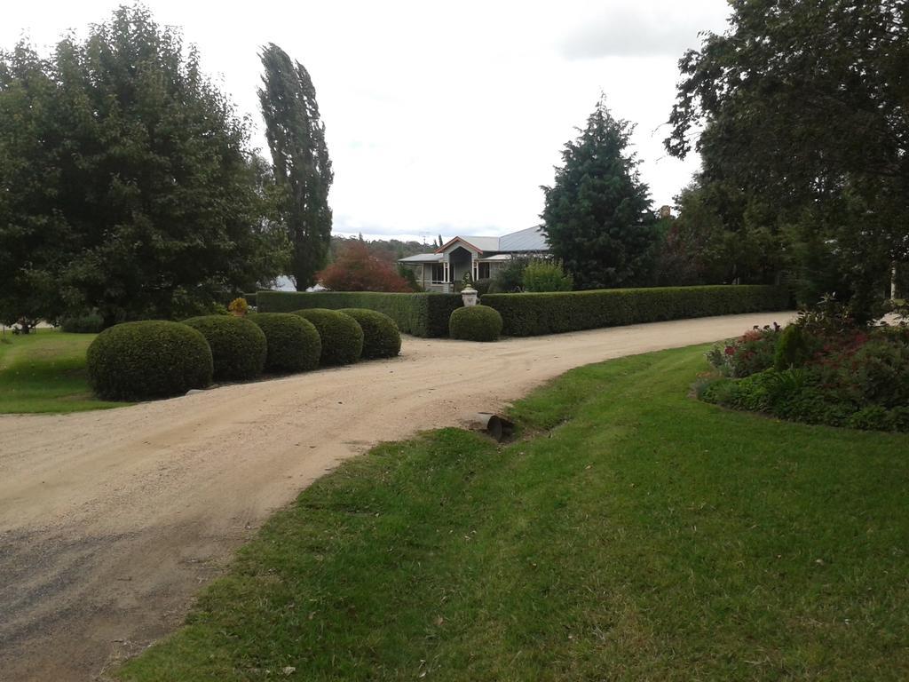 Glen Waverly Farmstay غلين اينيس المظهر الخارجي الصورة