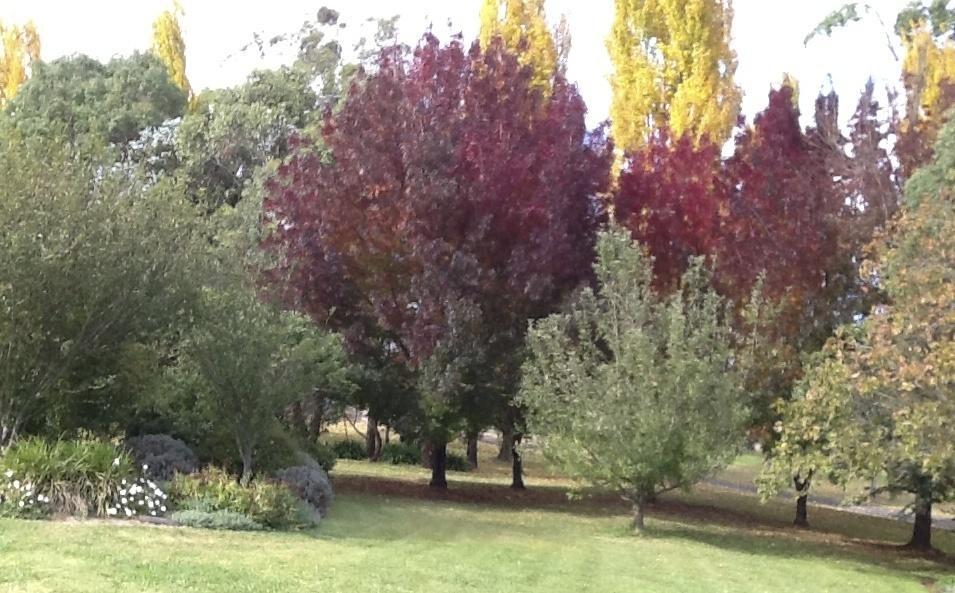 Glen Waverly Farmstay غلين اينيس الغرفة الصورة
