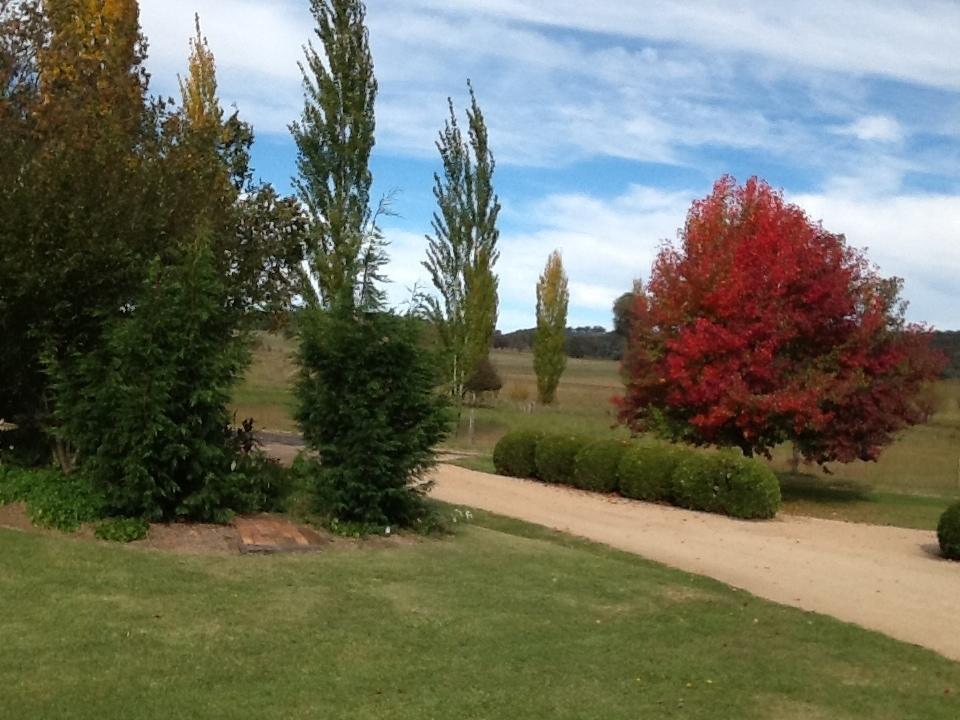 Glen Waverly Farmstay غلين اينيس الغرفة الصورة