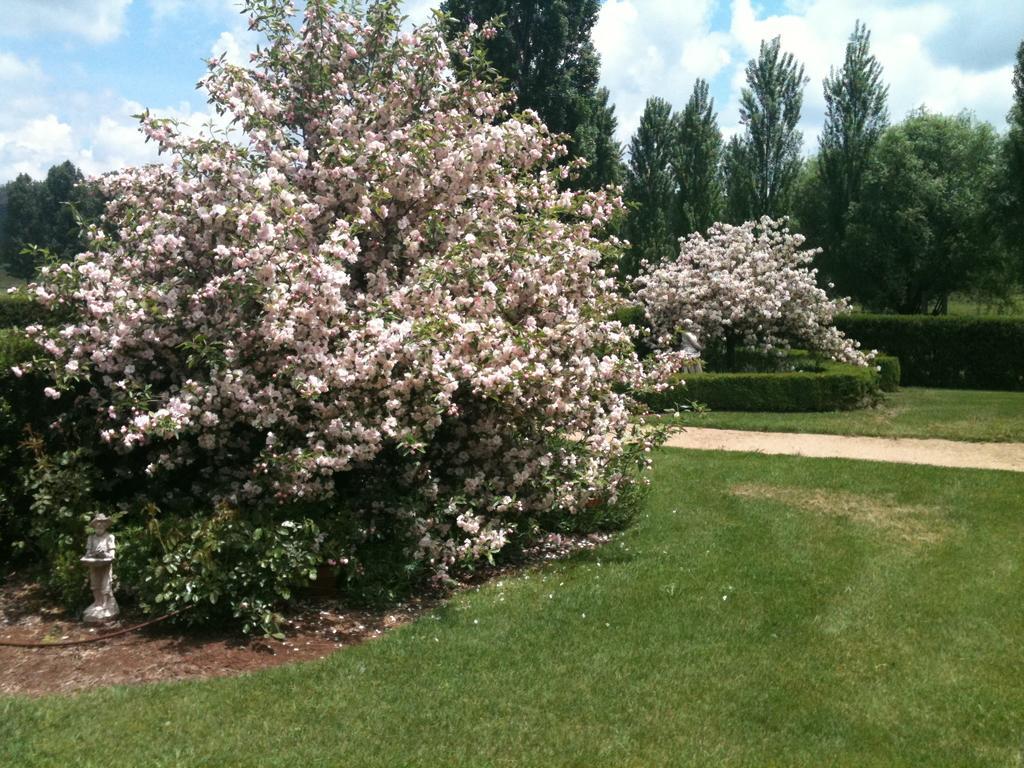 Glen Waverly Farmstay غلين اينيس المظهر الخارجي الصورة